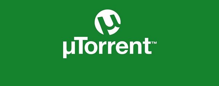 يوتورنت لغة البرمجة